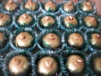 /album/doces-finos/a100-8835-jpg/
